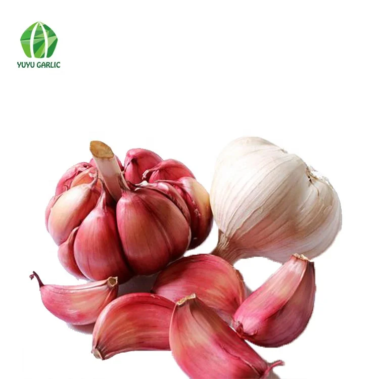 
Wholesale Chinese Natural Bulk Fresh White Garlic Price 