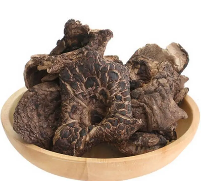 
 Сушеный сааркодон имбрикат гриб для продажи  