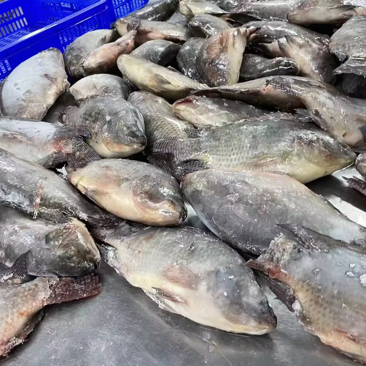 Китай экспорт замороженная рыба Тилапия оптовая цена