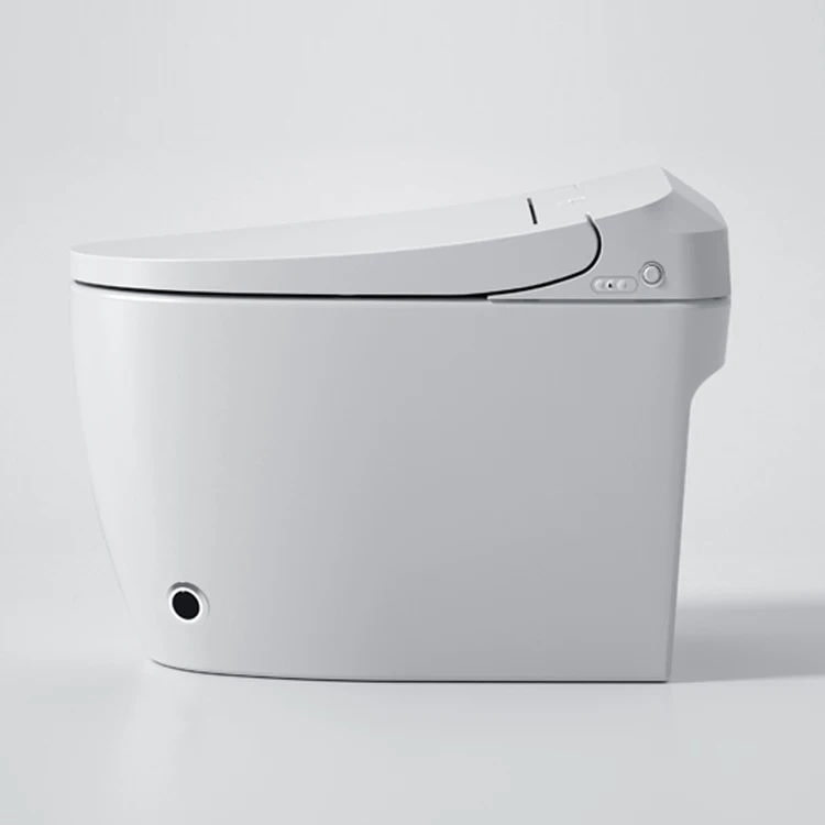 Foot Kick Flushing Bathroom Intelligent Toilet Cold Water Bidet