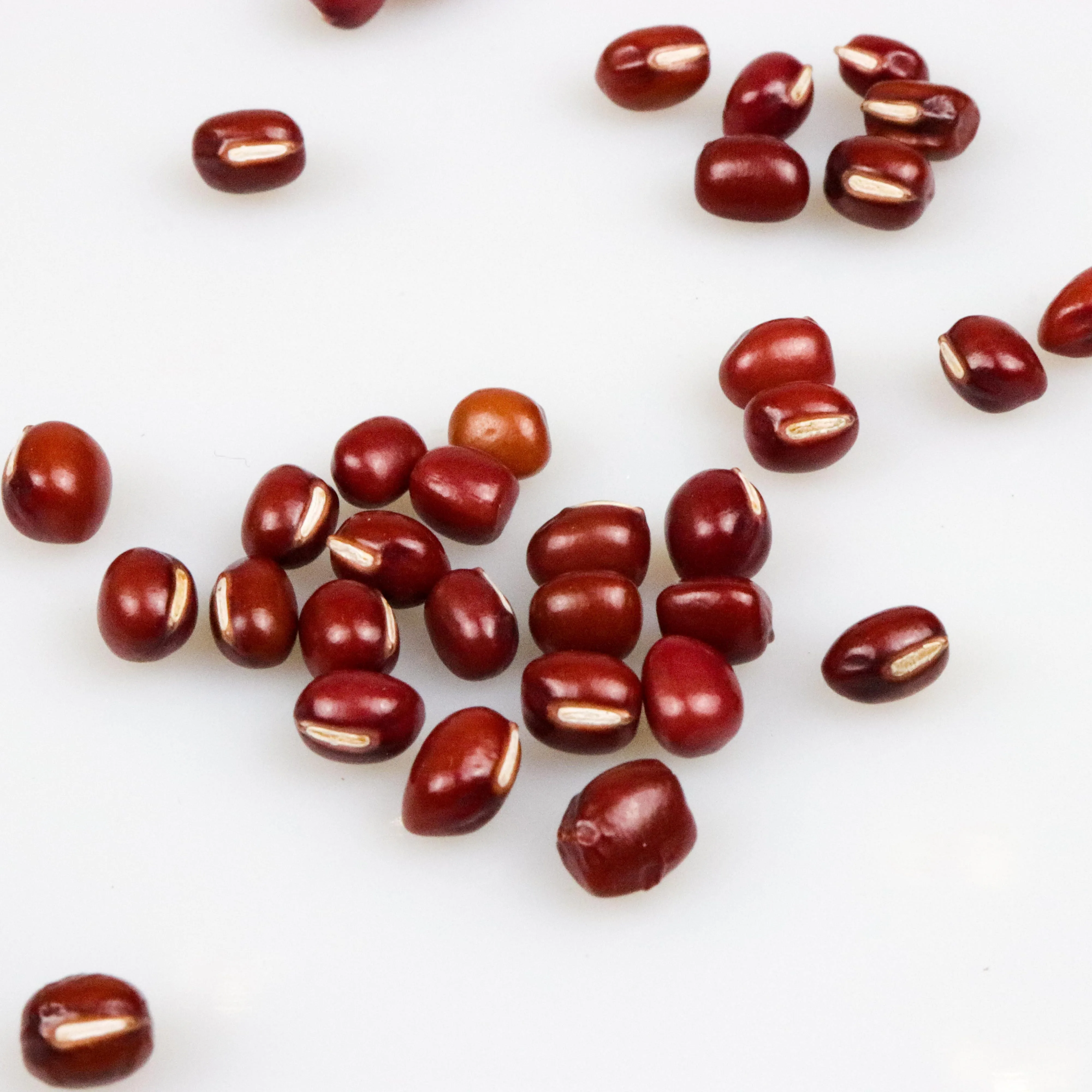 
2020 New Crop Organic Red Adzuki Beans Small Round Beans with Wholesale Price OEM packing 