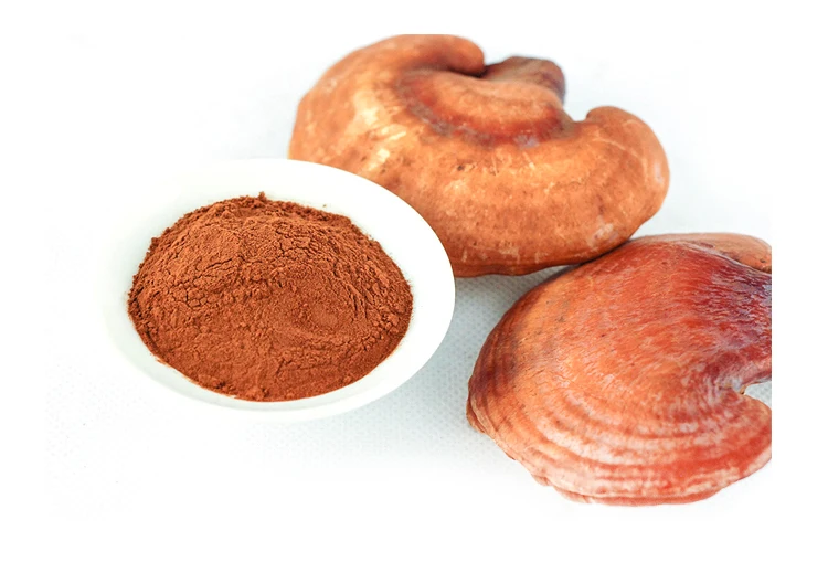 juncao planted ganoderma lucidum reishi  extract powder with polysaccharides 30% triterpenes 2% OEM