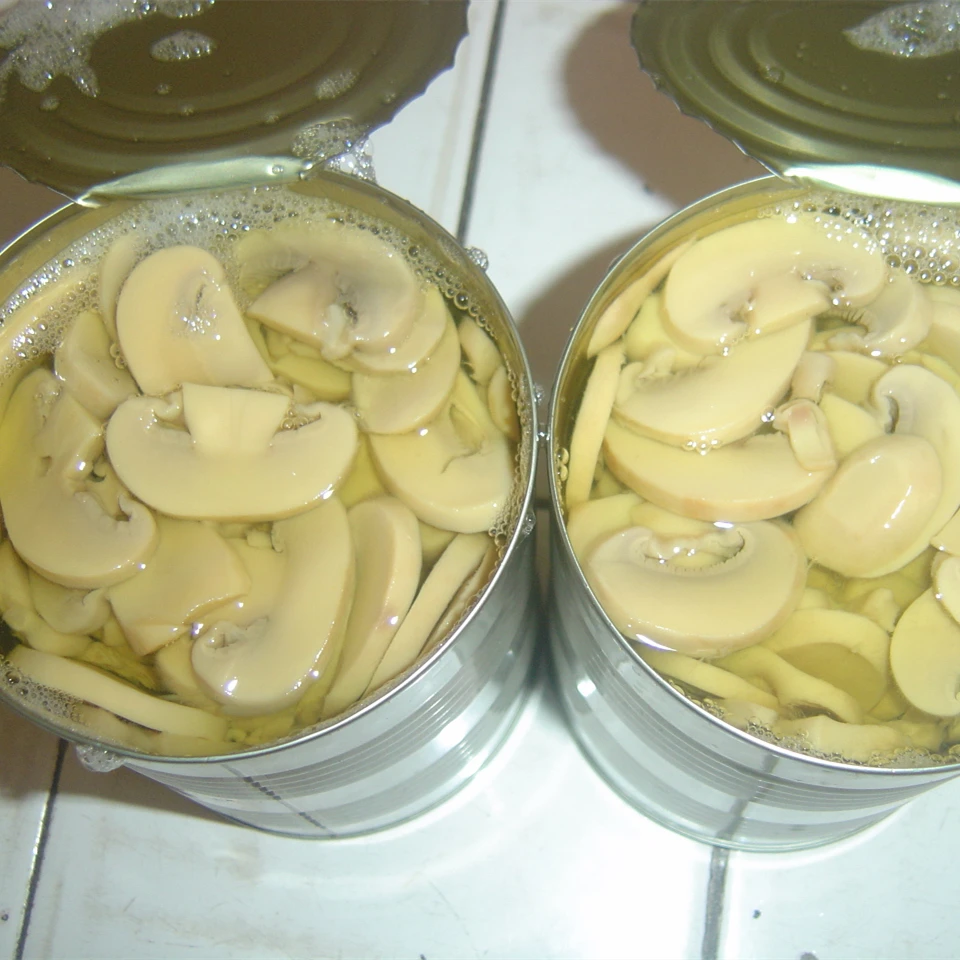 Low Price Mushroom in Can