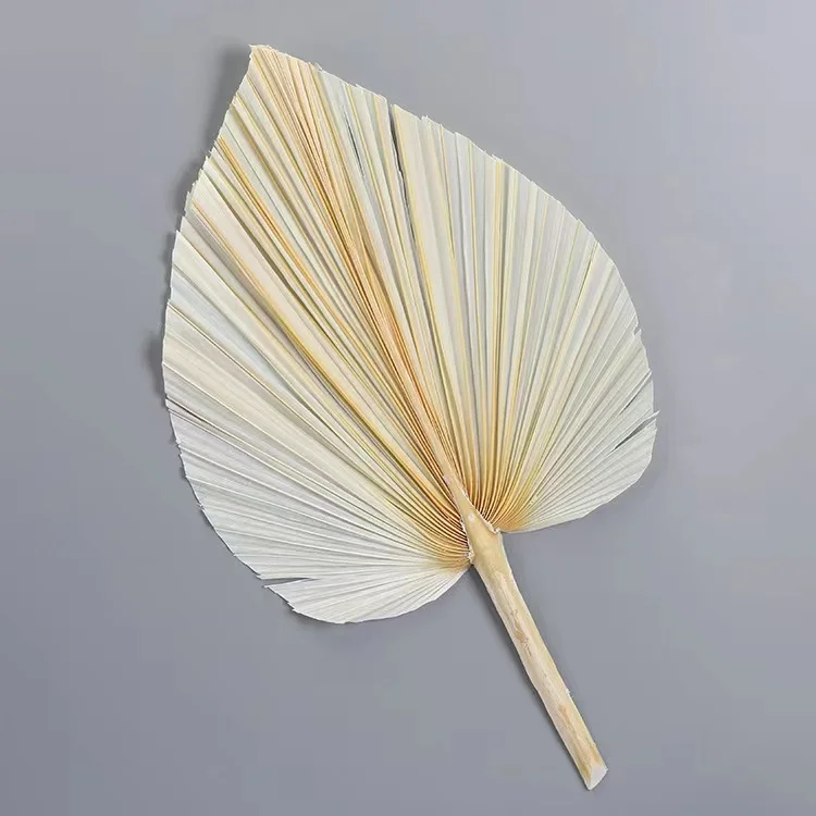 palm leaf fan  (18).jpg
