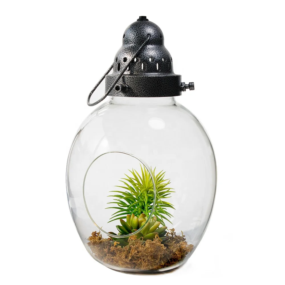 wholesale geometric glass terrarium for tabletop succulent plant with LED light and handle for home decoration