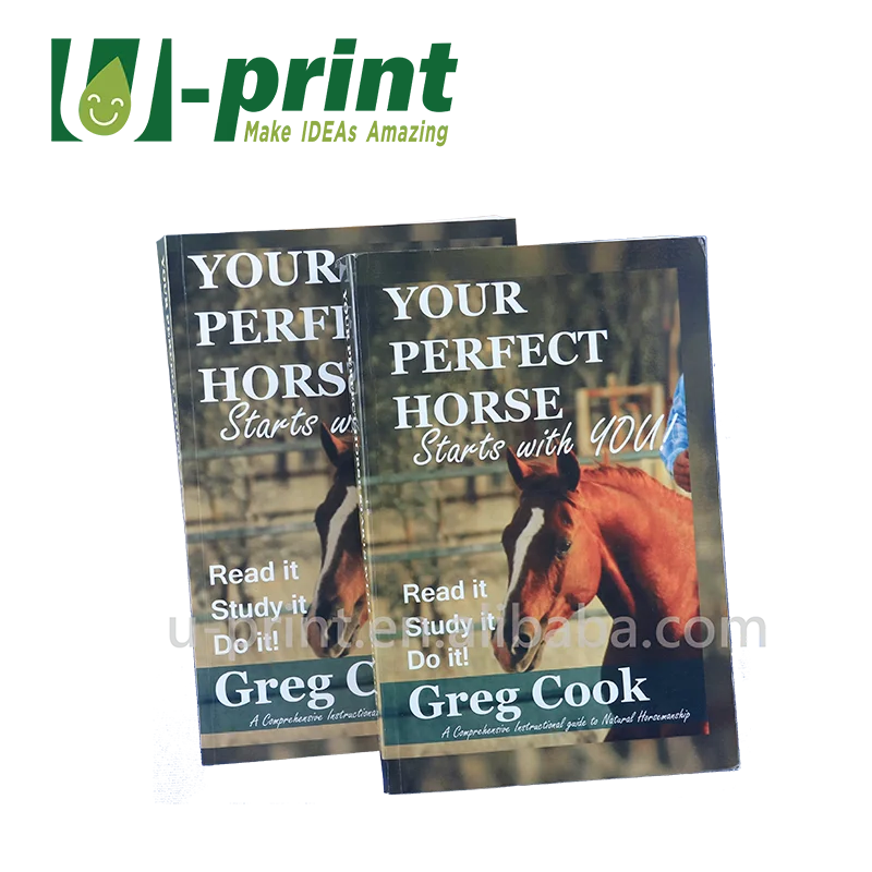 High Quality Customized Print A Book Softcover Assorted Novel Books Wholesale For Export
