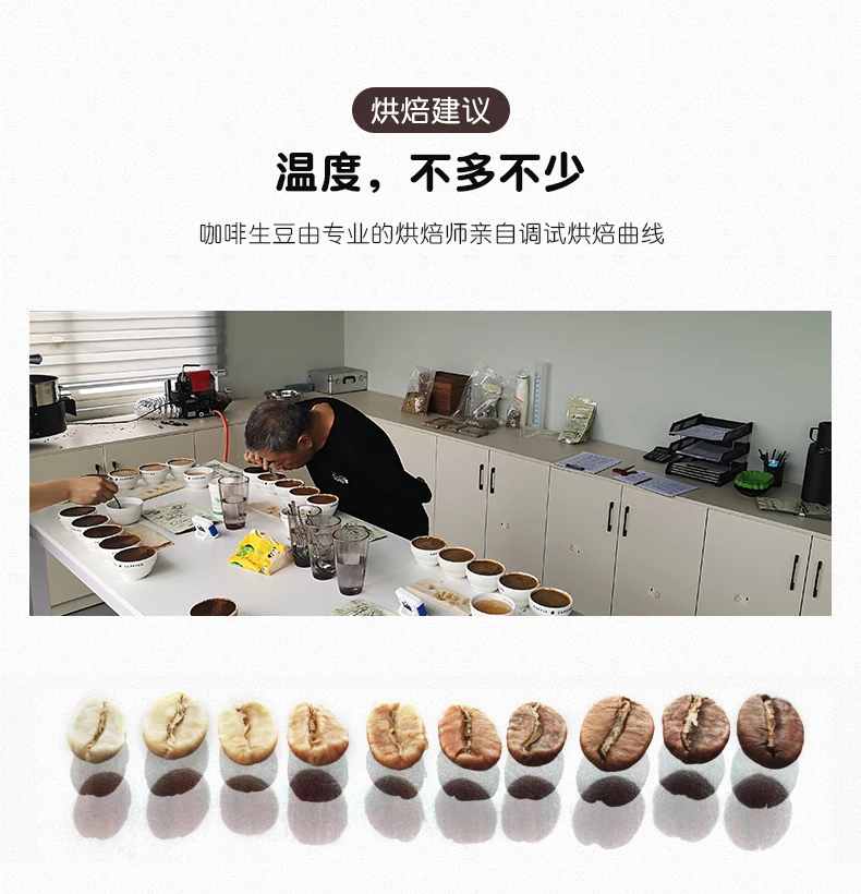 Chinese yunnan green coffee beans,screen 12-14,arabica coffee beans,