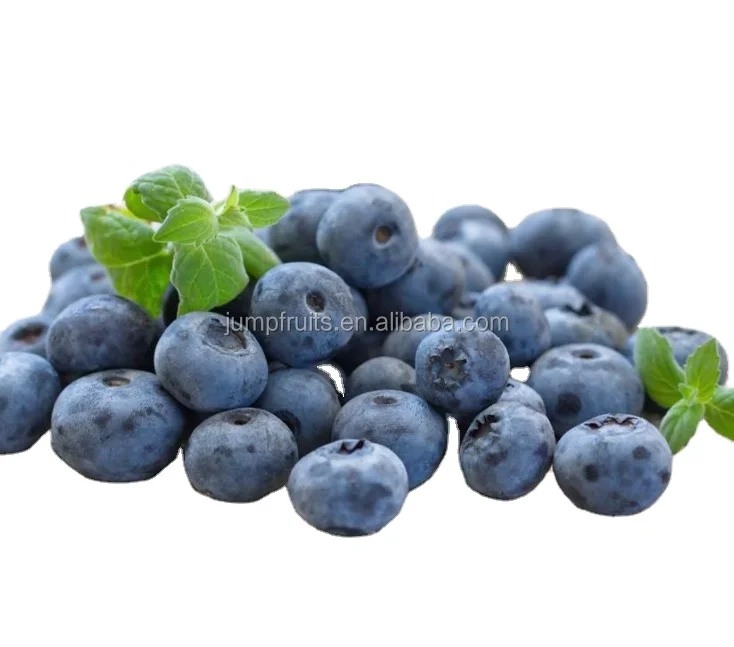 Customizable High Proficiency Blueberry Wine Processing Fruit Wine Production Line Price Negotiable