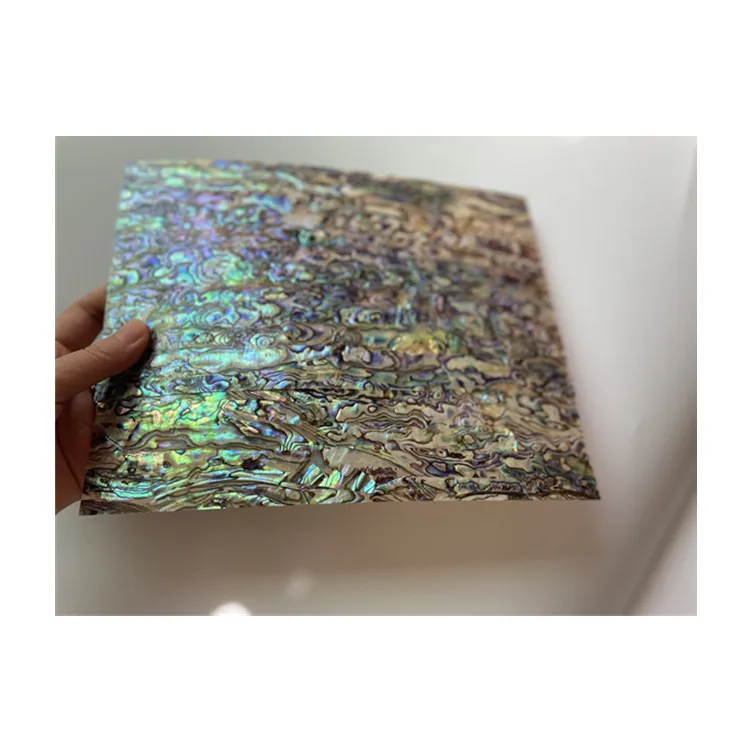 Natural  New Zealand  Abalone Shell Sheet mother of pearl abalone shell sheets for home decoration custom DIY design sunglasses