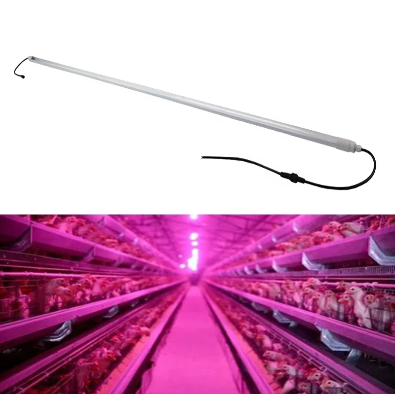 1500mm 1.2m DC48V 30w waterproof led tube light lamp for poultry farm Pig shed