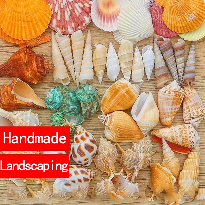 Fish tank decoration, aquarium landscaping, background simulation, conch coral reef, coral ornaments, seabed stones