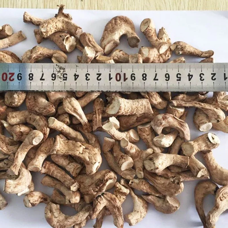 Manufacturer Supply High Quality Instant Food Shitake Mushroom Delicious Snack Dried Shiitake Mushroom