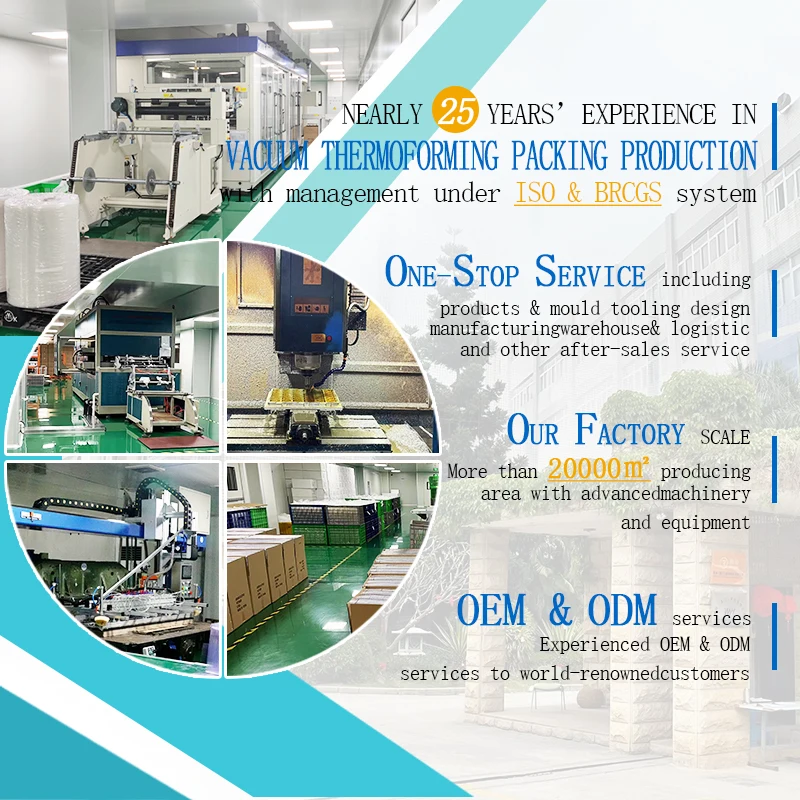 4 compartments fast food packing disposable container takeaway plastic food box