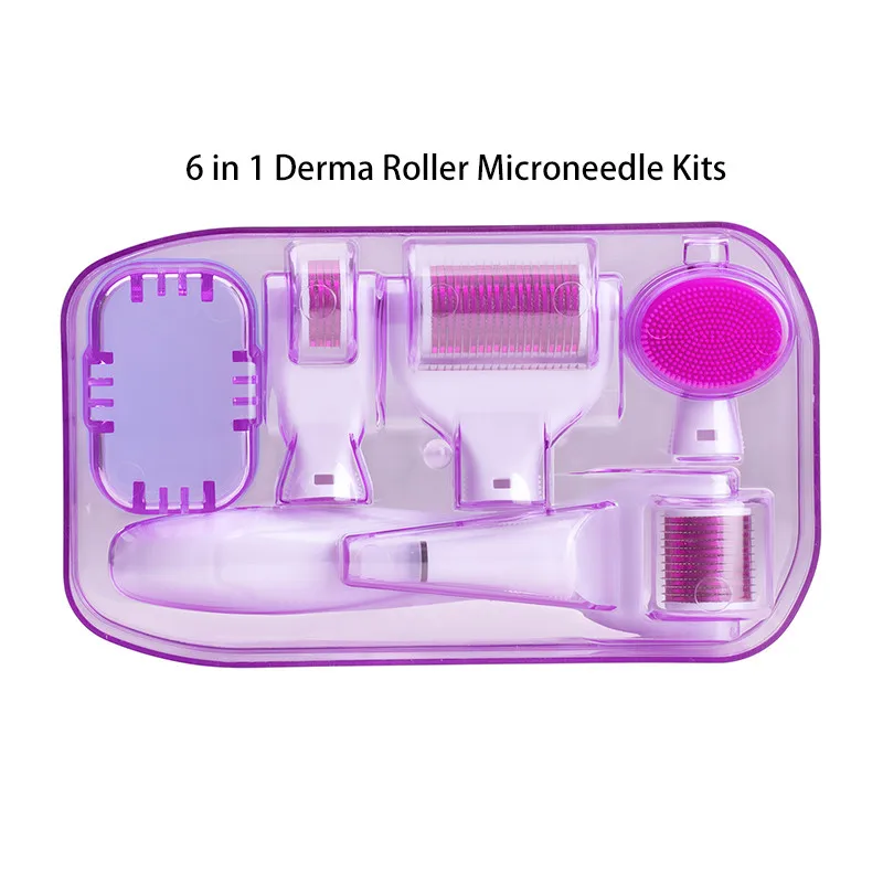 2019 best selling Beauty Equipment 6IN1 derma roller 0.5mm derma roller system