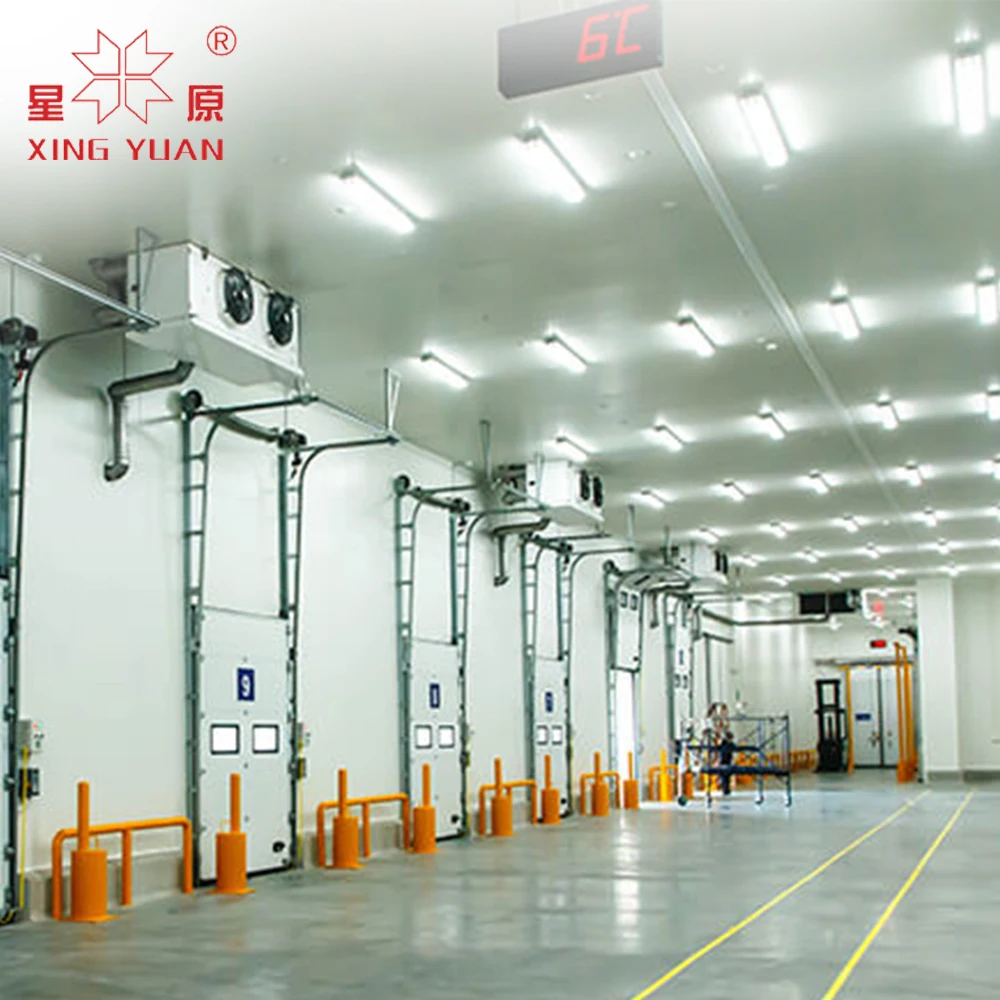 fruits supplier cold storage for garic potato, fruits and vegetables cold storage freezer for milk