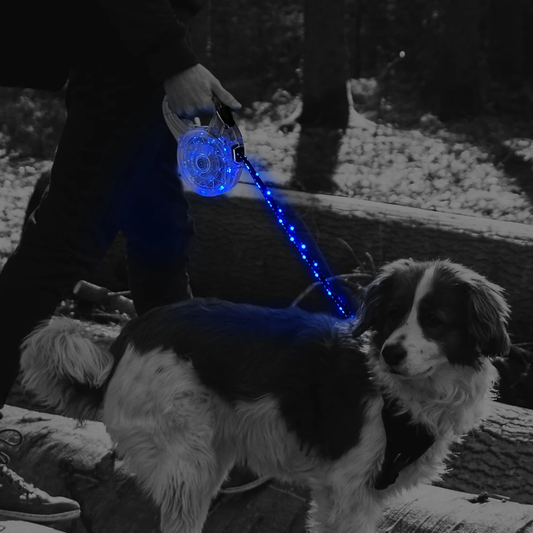 Geerduo Pet Safety Durable Retractable Long USB Rechargeable LED Light Dog Outdoor Night Walking Leash Lead