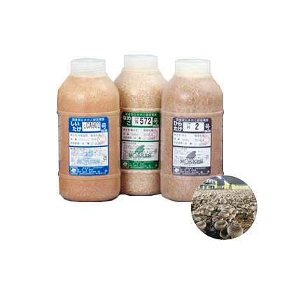 
High efficiency Fertilizer cultivation grow mushroom spawn for sale 