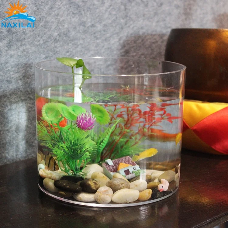 
NAXIALI Acrylic Fish Tank Manifature Small Desktop Zebra Fish Acrylic Low Price Cylinder Aquarium Of Acrylic Fish Tank 