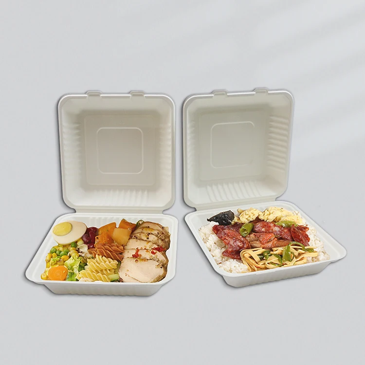 
Disposable Biodegradable Compostable PLA Material Lunch Boxes 