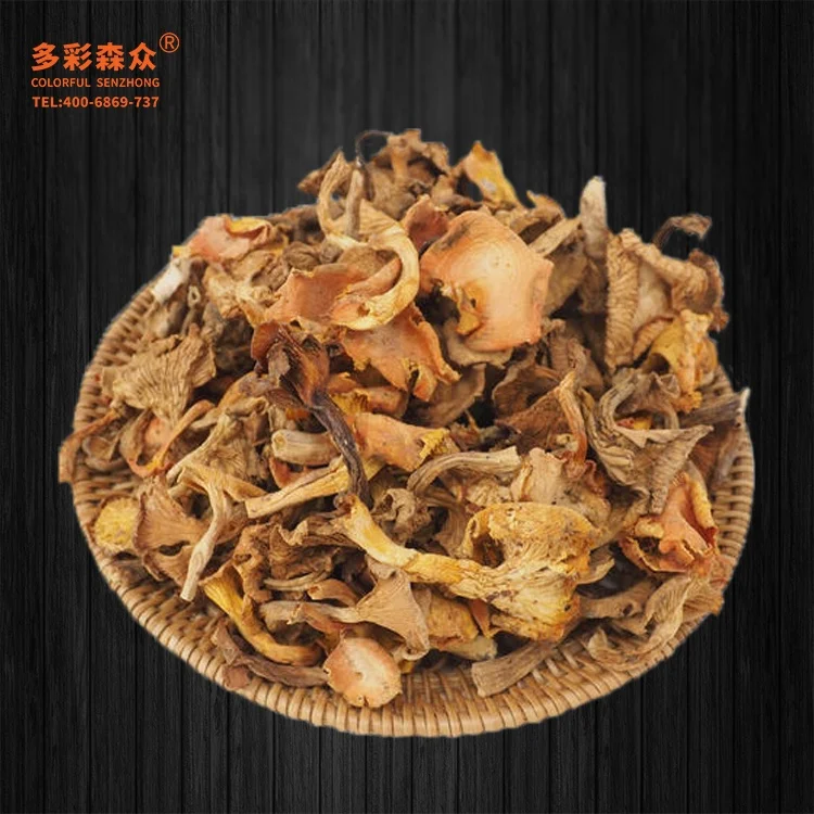 Yellow color edible mushrooms natural dehydrated Cantharellus cibarius dried Chanterelle for food Cantharellus cibarius Fr