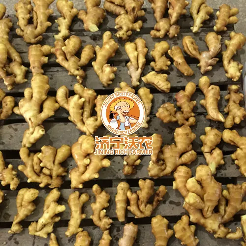 Fresh Ginger Buyers In China Good Quality Ginger Price Per Ton