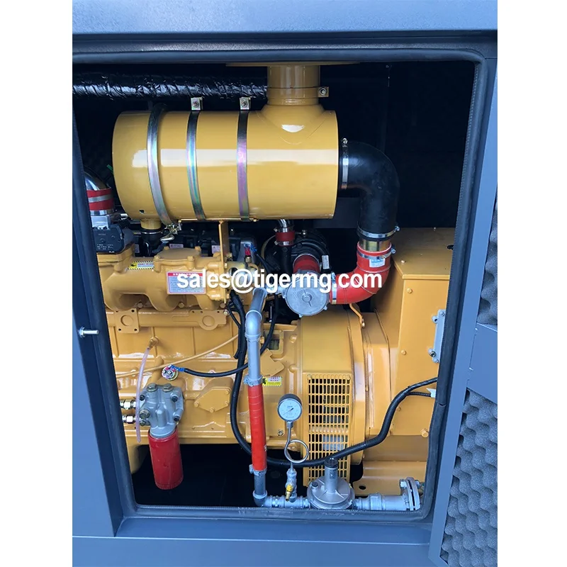 Factory supply high efficiency natural gas generator 50kw with chp boiler