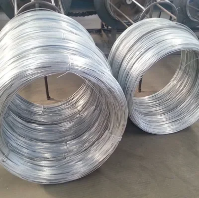 Supply Carbon Steel Wire Rod 3mm 5mm Hot Rolled Q195 SAE1008 High Quality Hot Dip Galvanized Steel Wire