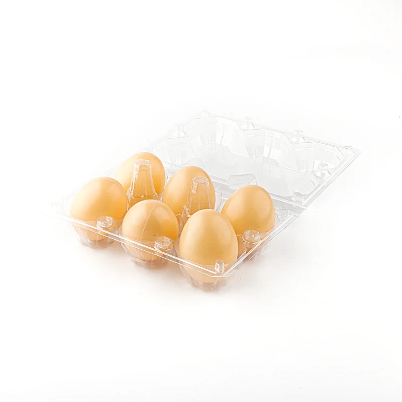 plastic egg trays for 6 cells  transparent clear egg tray PET egg container