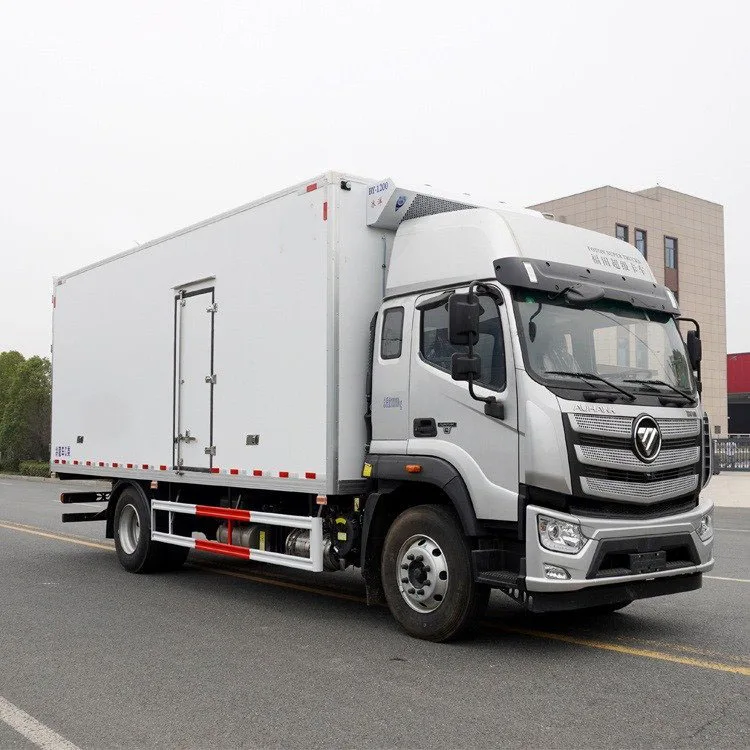 High roof double sleeper 6.6m cold chain truck 6-cylinder engine, 245 horsepower refrigerated car