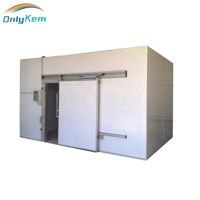 Quick Blast Freezer Cold Storage for Frozen food