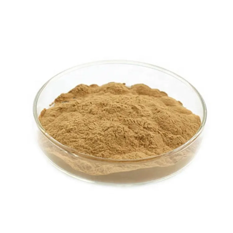 
Papaya Extract / Papaya Fruit Leaf Extract Powder 