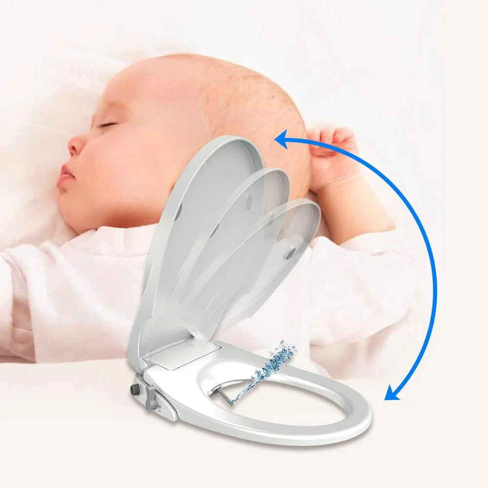 Oem Non-Electric Cold Water Bidet Toilet Seat Toilet Bidet Seat With Self Cleaning