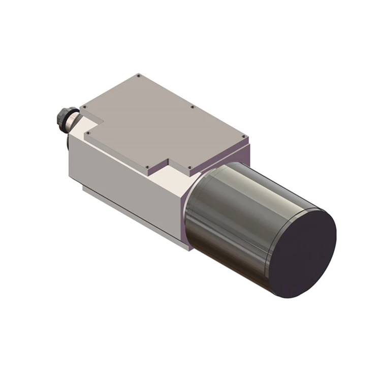 Dynamic and Hydrostatic  Cylindrical Grinding Motor Spindle Used in Milling Machines