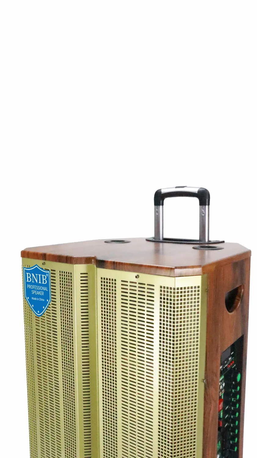 2022 New Arrivals Active Speaker Karaoke Speaker Outdoor Speaker Wooden Sound System ODM OEM