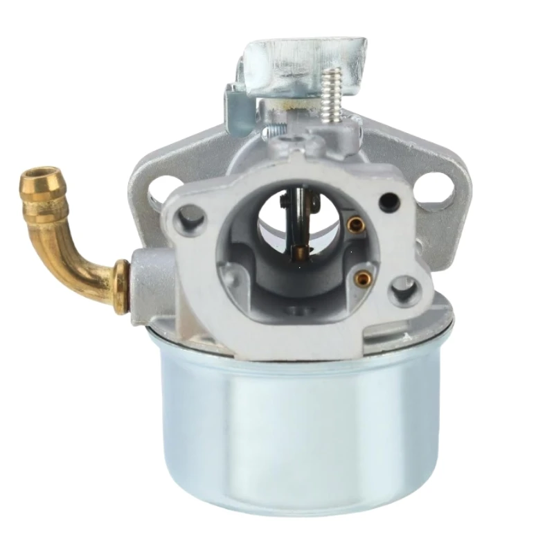 BP17A-1 B & S790290 789653 698860 697354 791077 Snow Sweeper Carburetor