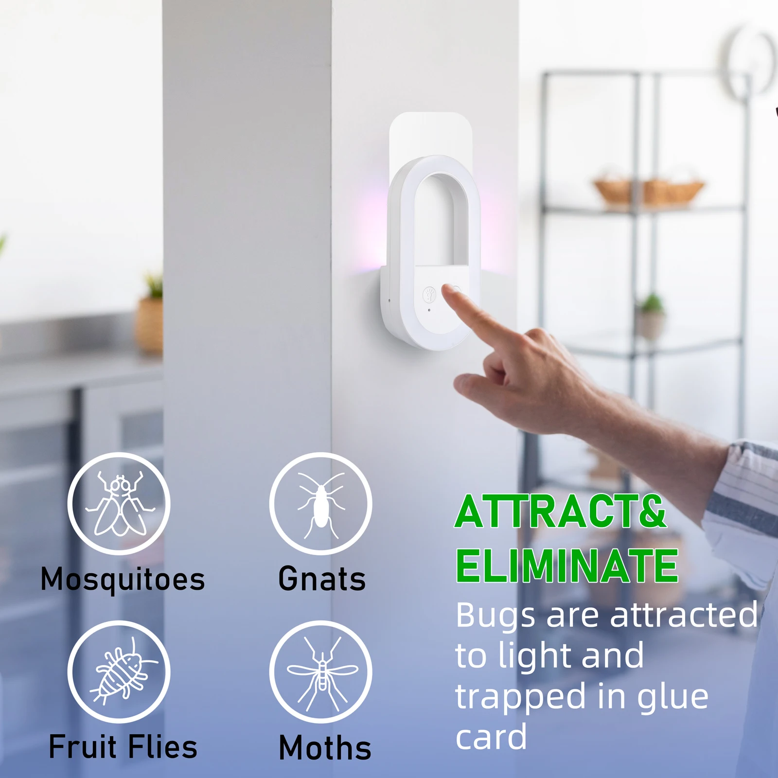 Sticky Board UV Light Fruit Flies Mosquitoes Gnat Catcher Fly Traps Plug In