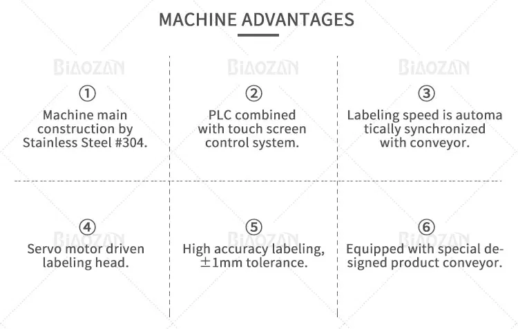 Plane Labeling Machine