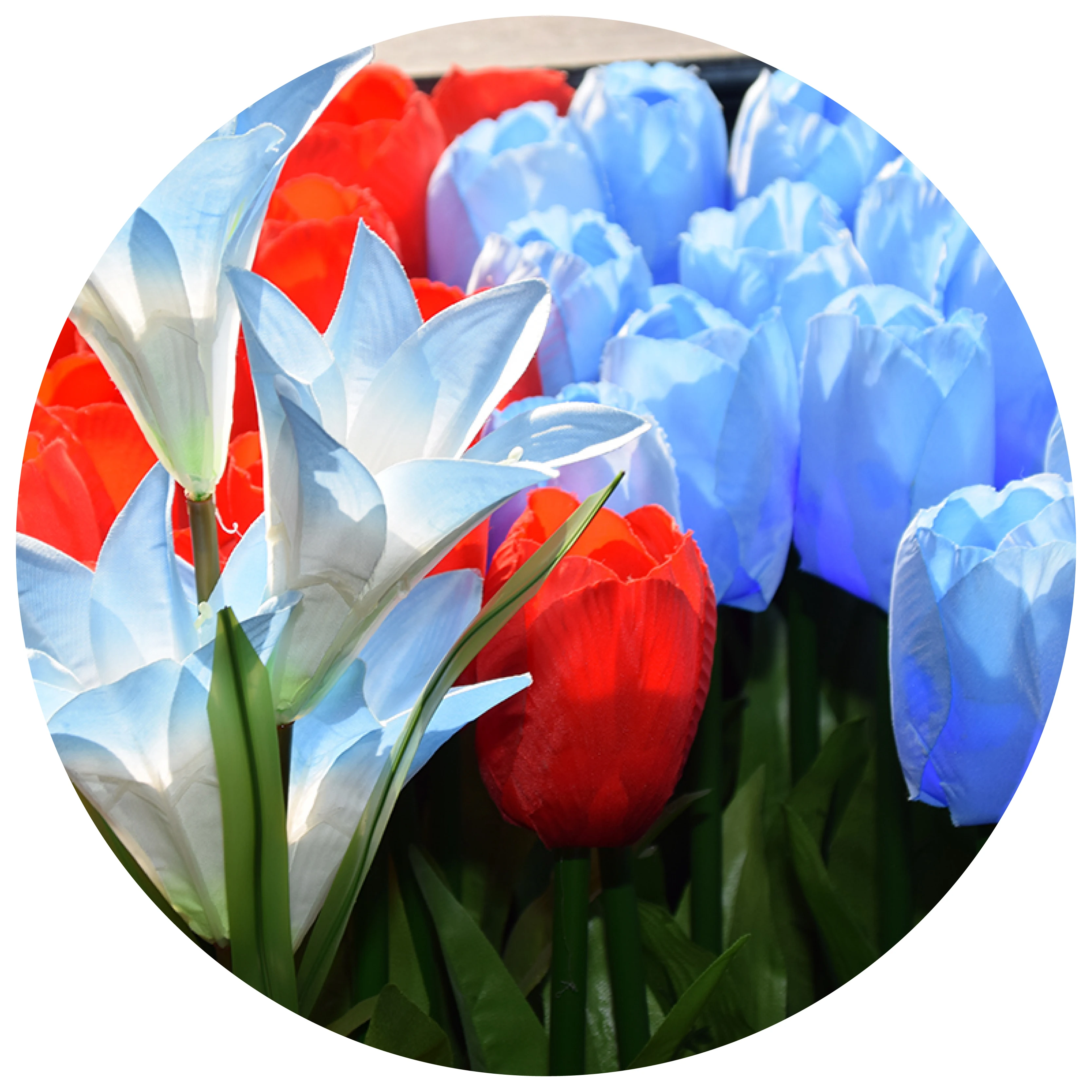 Цветы на солнечной батарее, сказочные садовые розы на колышке для украшения сада