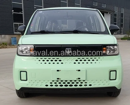 EEC 100KM/H high speed smart 5 seat electric car electric vehicle