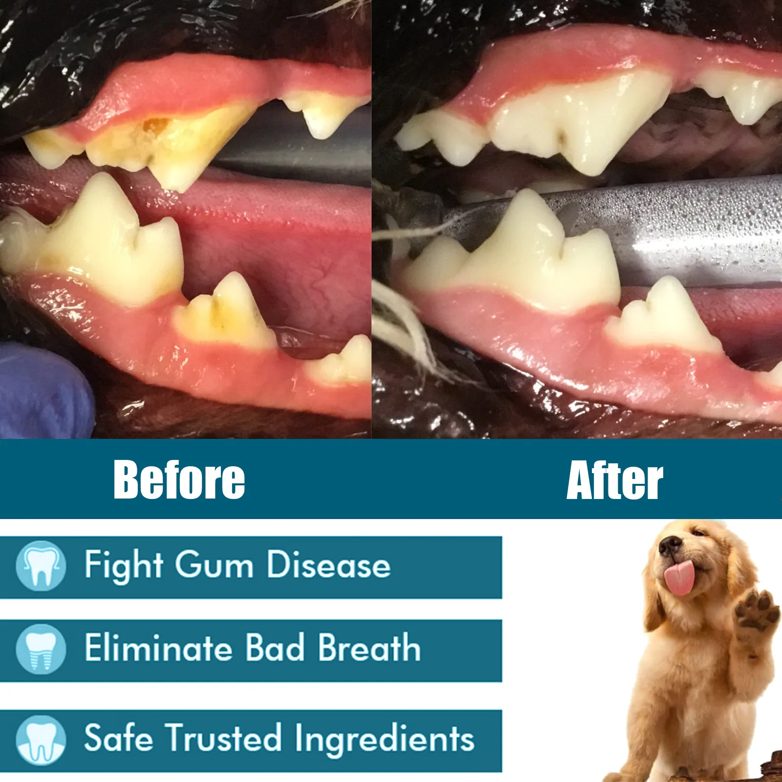 Multi-Purpose Oral Care Set for Dogs and Cats Odor Removing Fragrant Oral Care Spray Dental Health Care Product