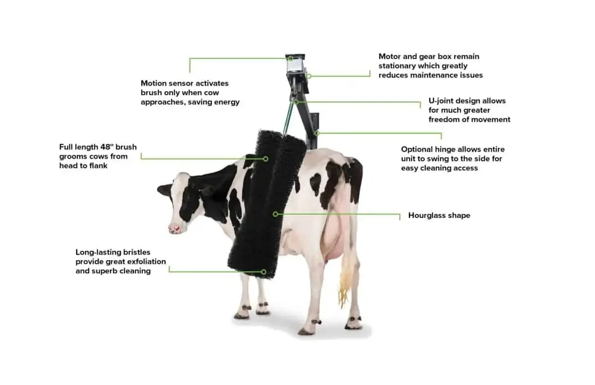 Delake Factory Direct Sale Automatic Cow Cattle Horse Sheep Print Body Massage Brush Set