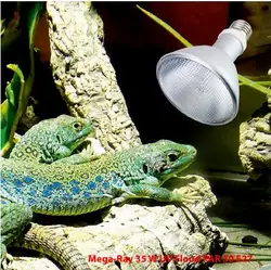 Eco-friendly 35W HID UVB Bulb Light reptile lamp 6500K  for reptiles use