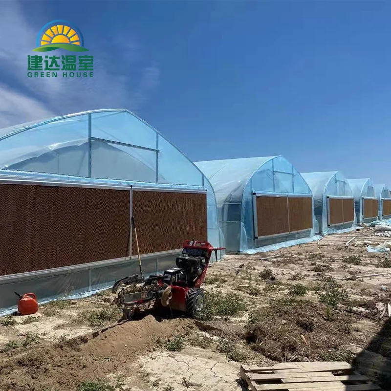 Однопролетная теплица SUNSGH полиэтиленовый туннель металлический каркас для посева овощей в индейке овощеводство
