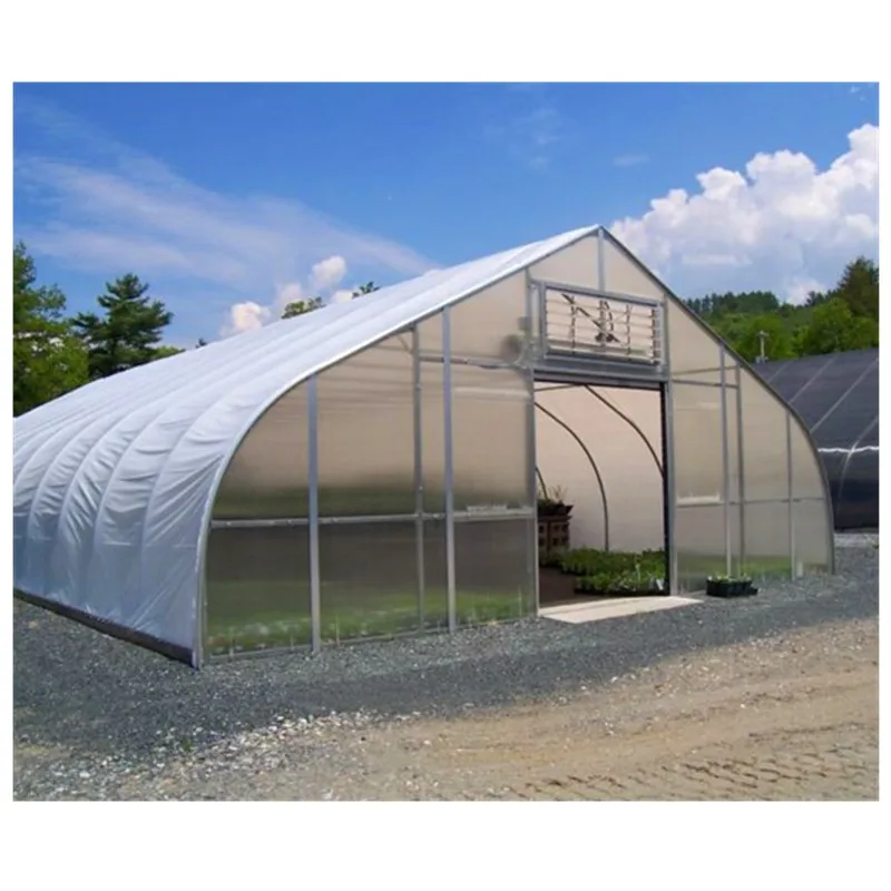 Gothic Arch Greenhouse.jpg