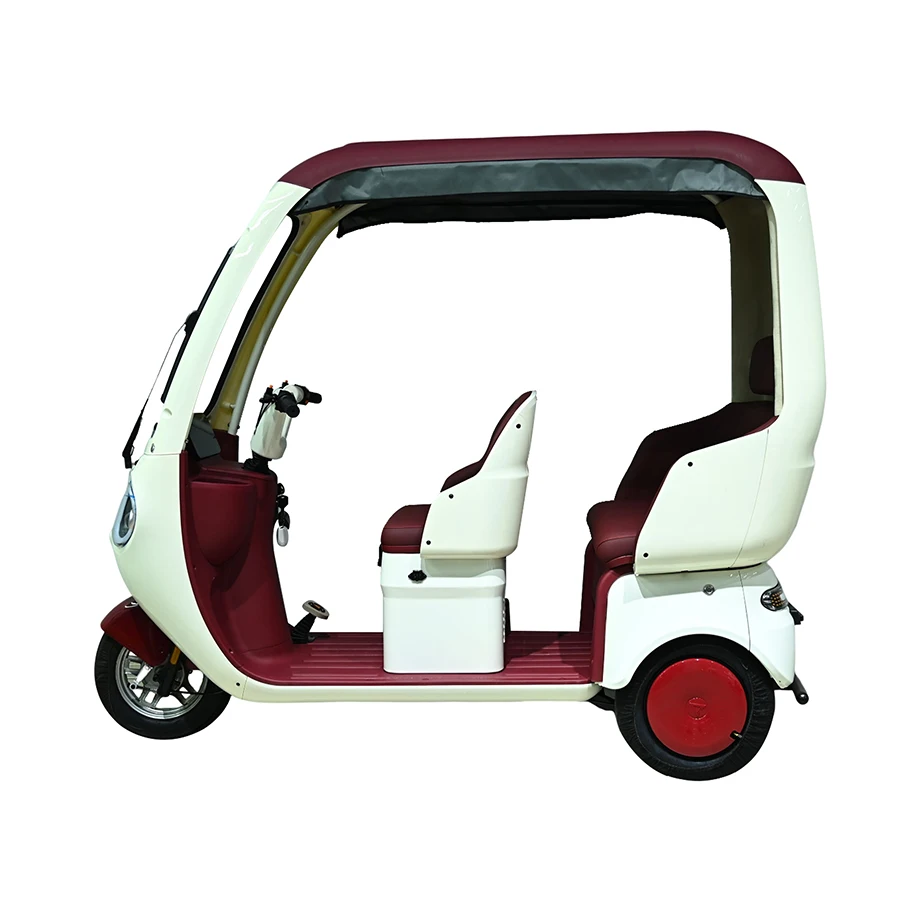 Adjustable 60/72V 800W Electric Tricycle for Small Households 2-Seater with Customizable Options