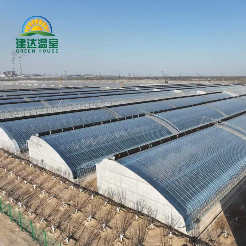 Special for cold areas warm greenhouse Agricultural quilt Greenhouses to planting strawberry  in winter