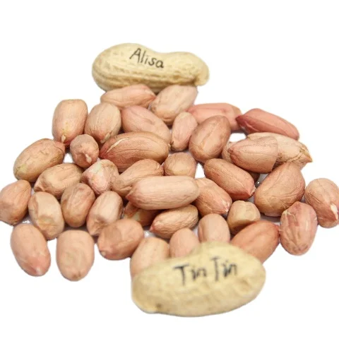 Chinese High Grade Peanut Kernels Hot-selling Peanut Kernels