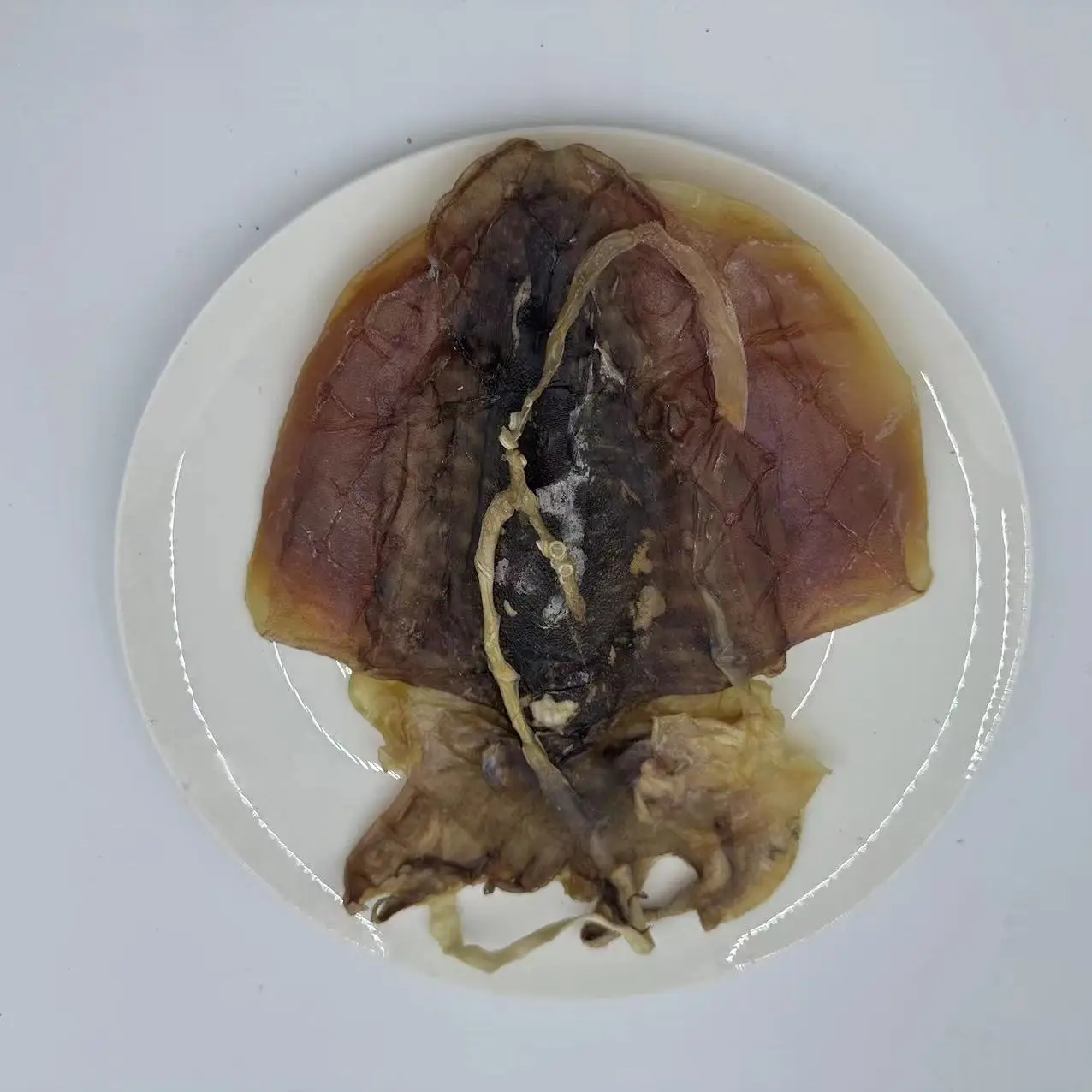 Сушеные каракатицы Sepiidae различных размеров сушеные
