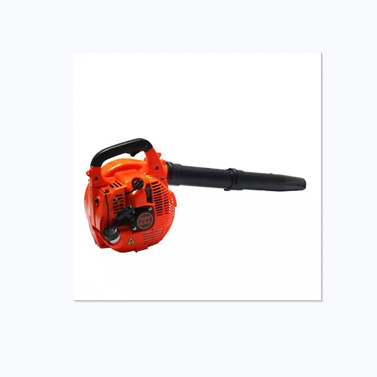 Portable gasoline blower snow blower dust remover