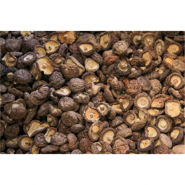 Hot Selling Chinese Agricultural Black Mushroom Bulk Dried Shiitake Mushroom